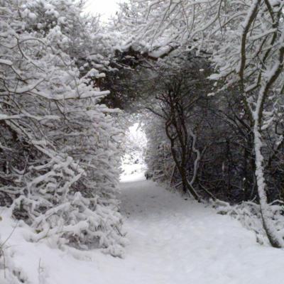Promenade sous la neige dimanche 19/12/2010
