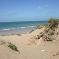 Dune en côte d'Opale